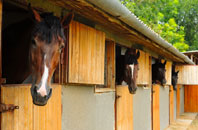free Stonehaugh stable construction quotes